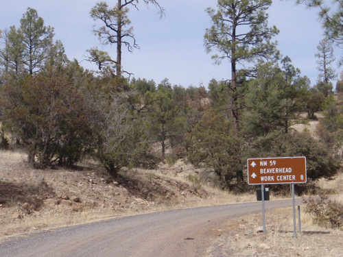 8 Miles to go (GDMBR, Gila NF, NM).
